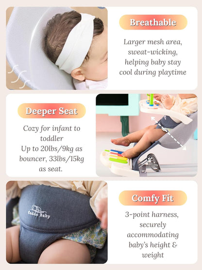 4-in-1 Baby Bouncer